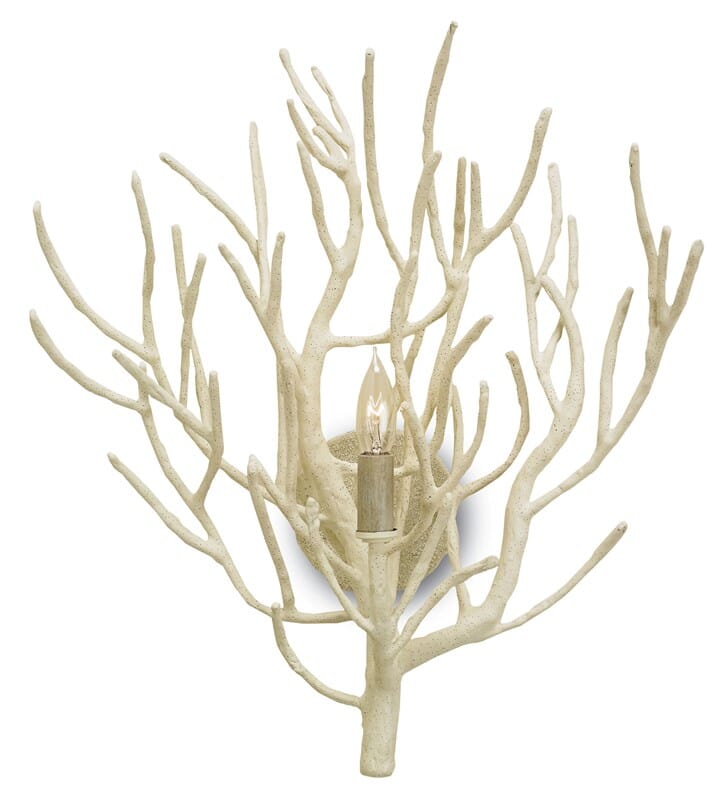 Currey & Company 19" Eventide Wall Sconce in White Coral