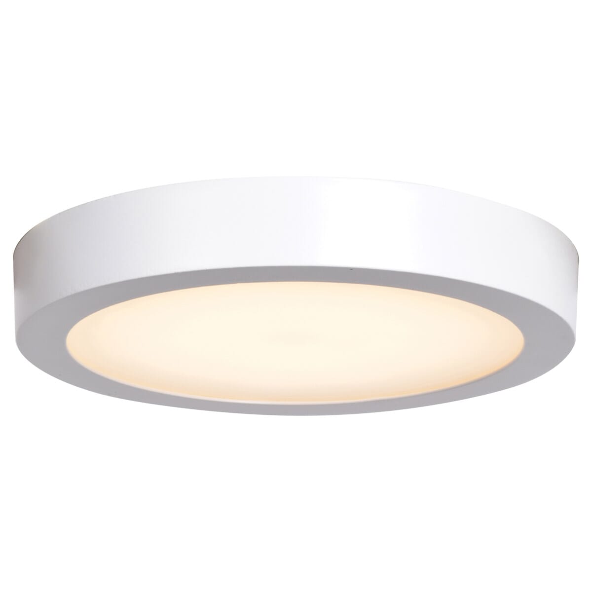 Access Ulko Exterior Outdoor Ceiling Light in White