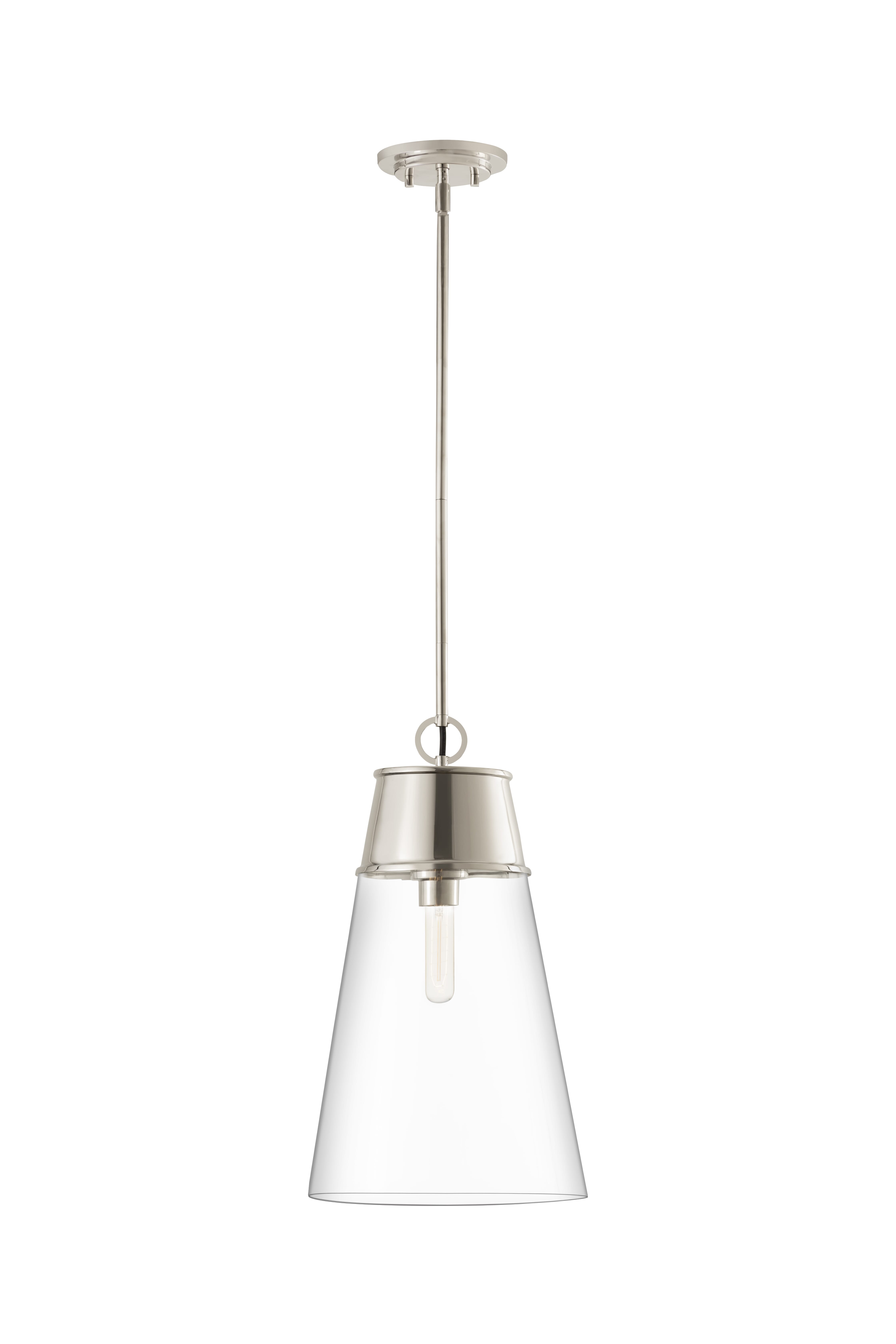 Wentworth 1-Light Pendant Light In Polished Nickel