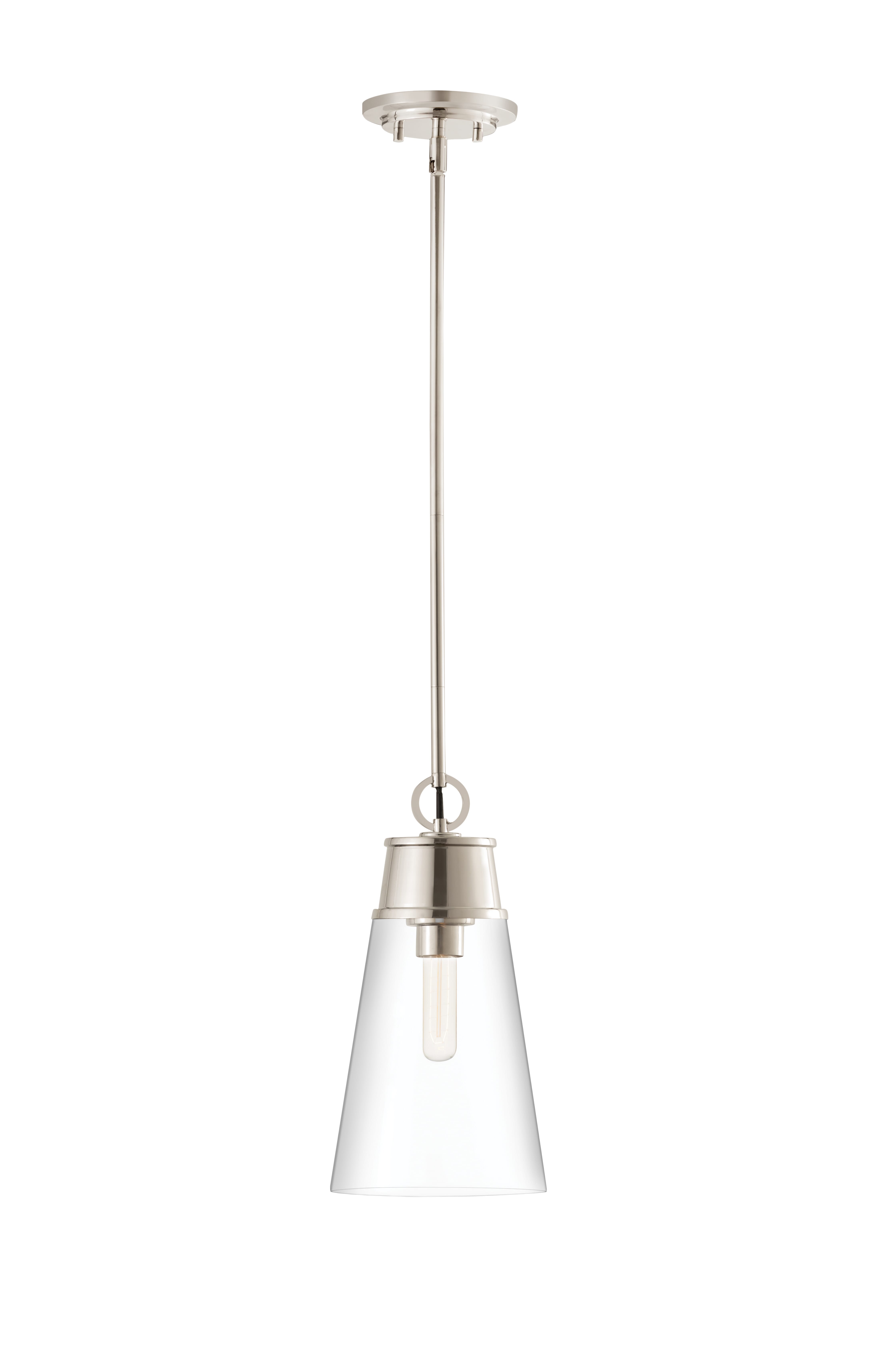 Wentworth 1-Light Pendant Light In Polished Nickel