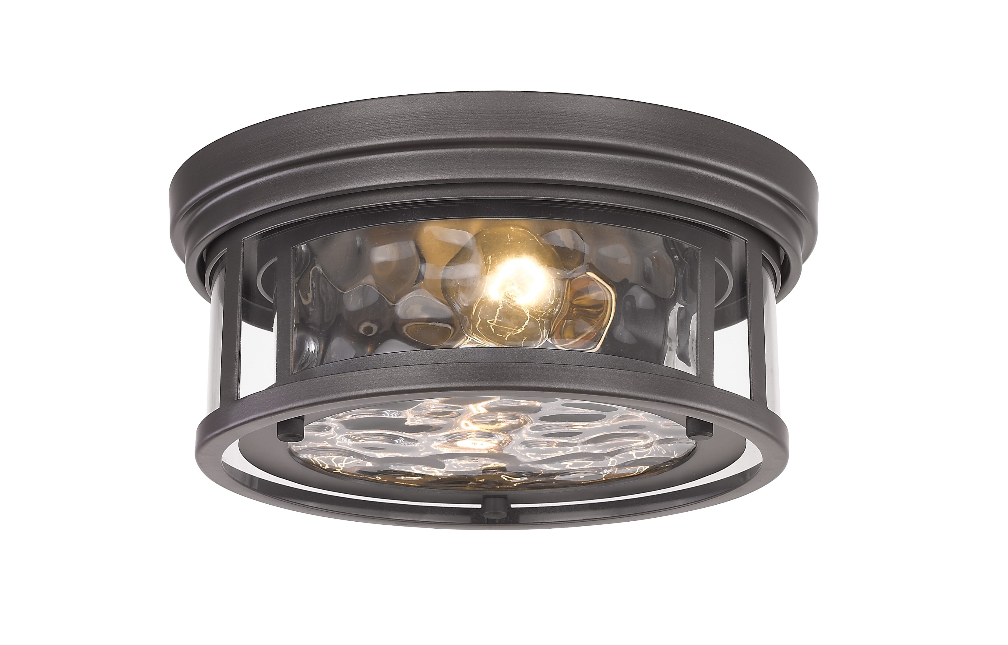 Clarion 2-Light Flu… - image