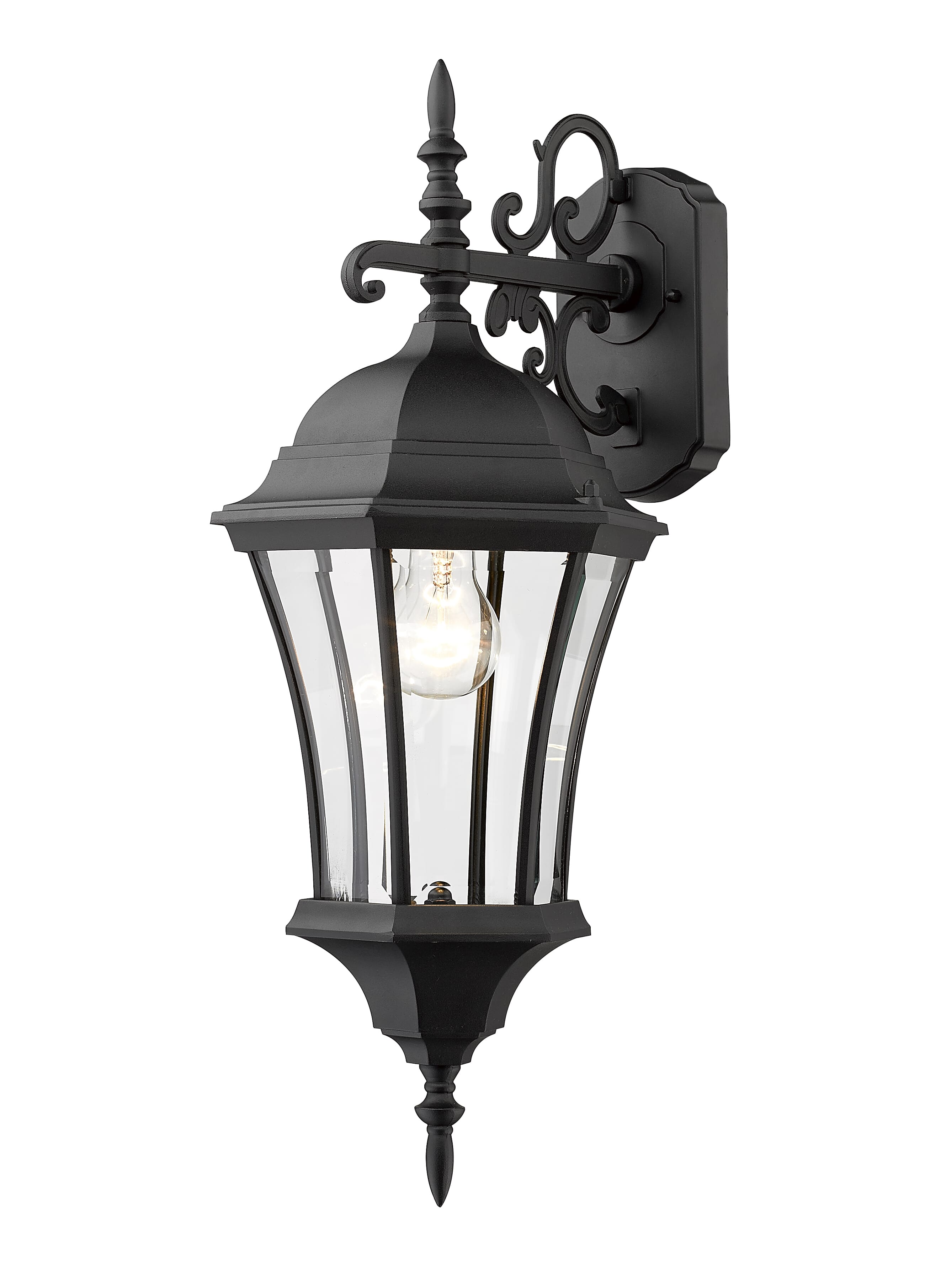 Wakefield 1-Light Outdoor Wall Sconce In Black