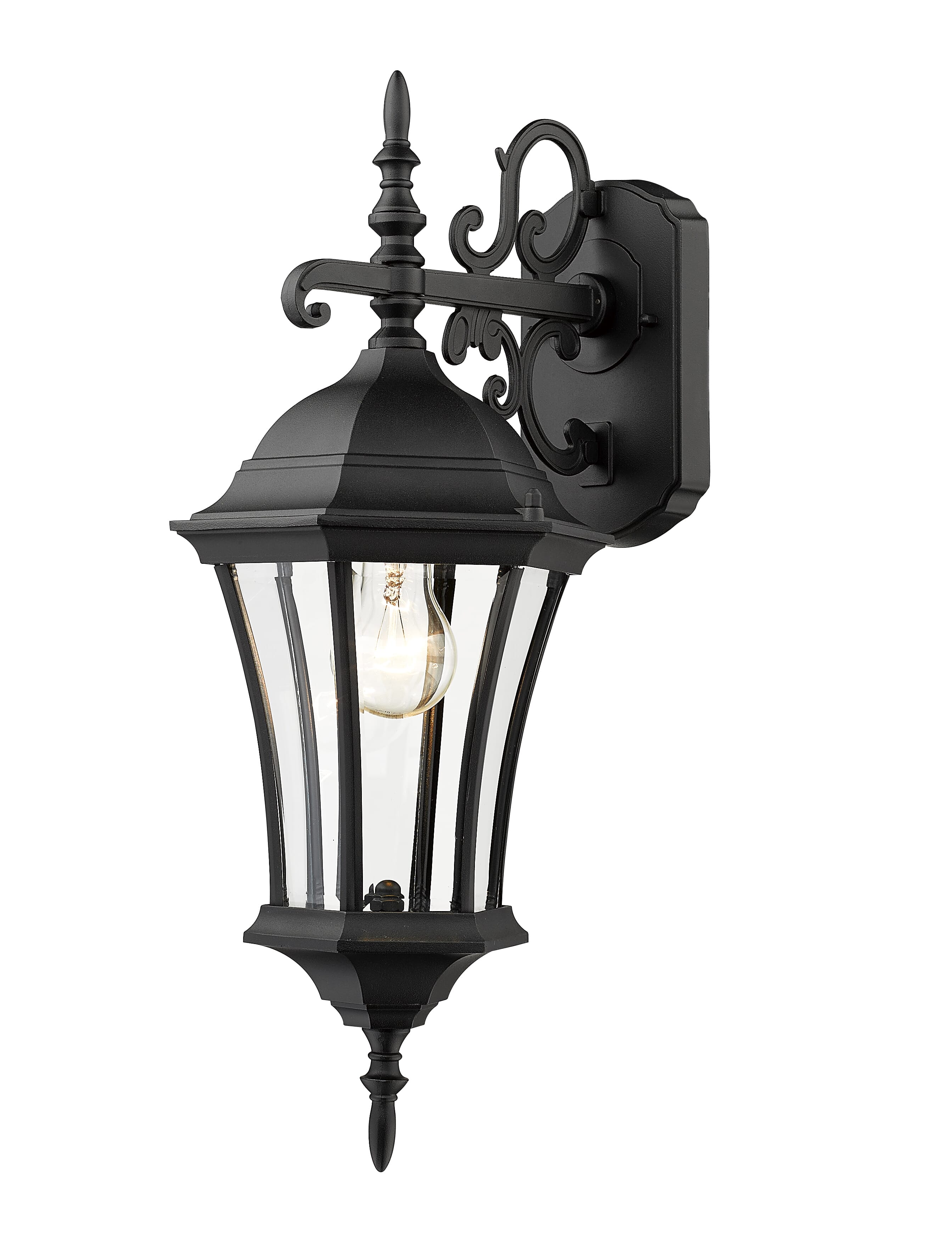 Wakefield 1-Light Outdoor Wall Sconce In Black