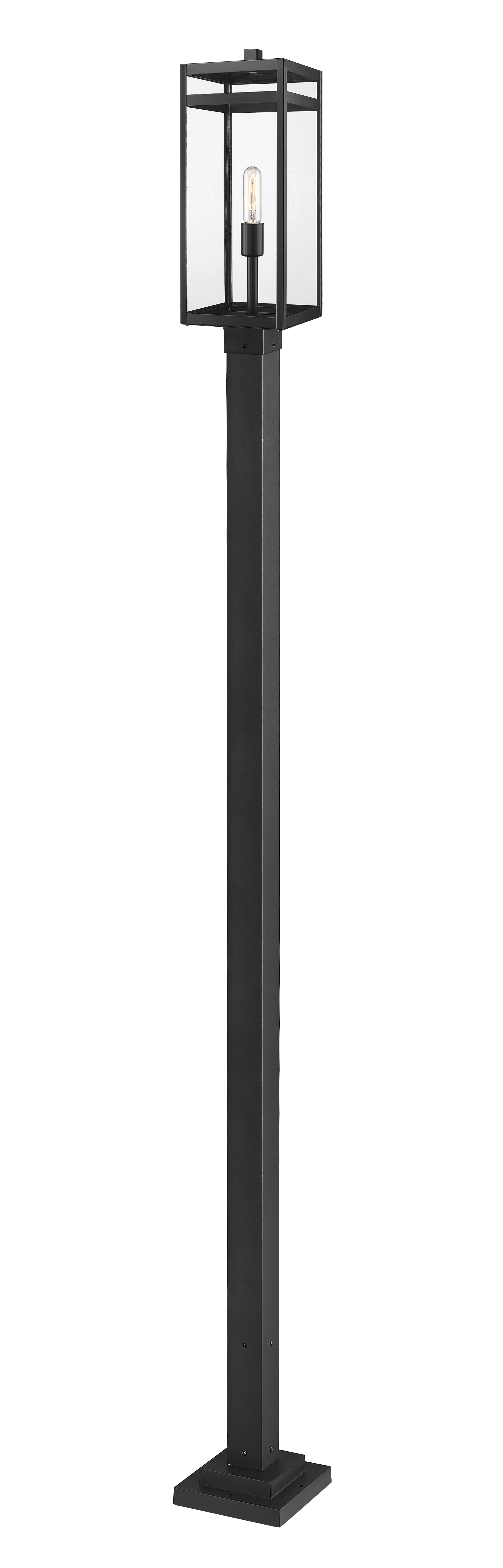 Nuri 1-Light Outdoor Post Mounted Fixture Light In Black